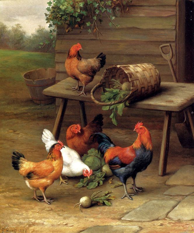 Chickens art painting - Unknown Artist Chickens art art painting